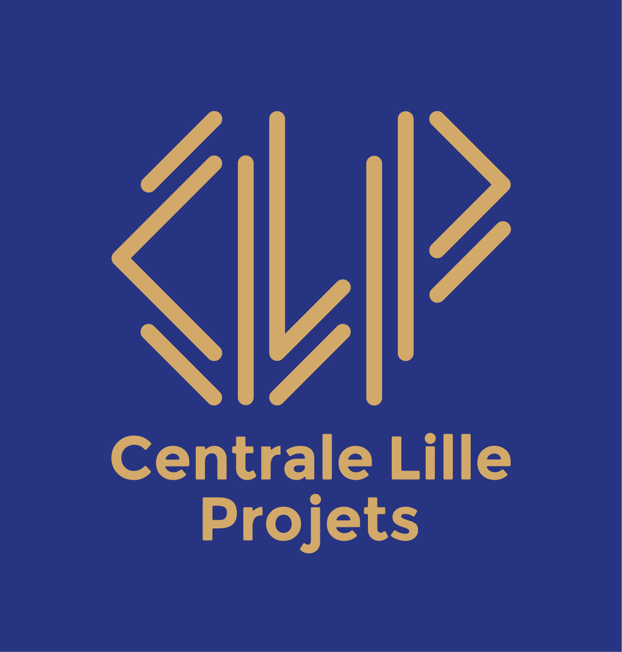 Centrale Lille Projets